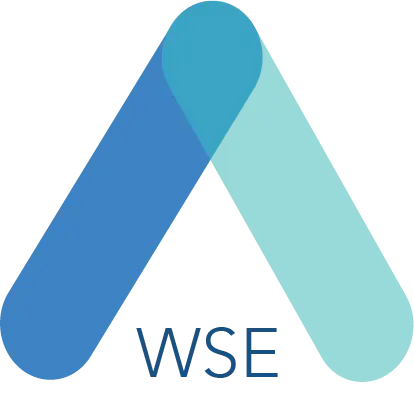 Ana Web SEO