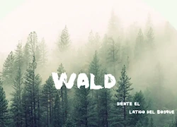 Wald